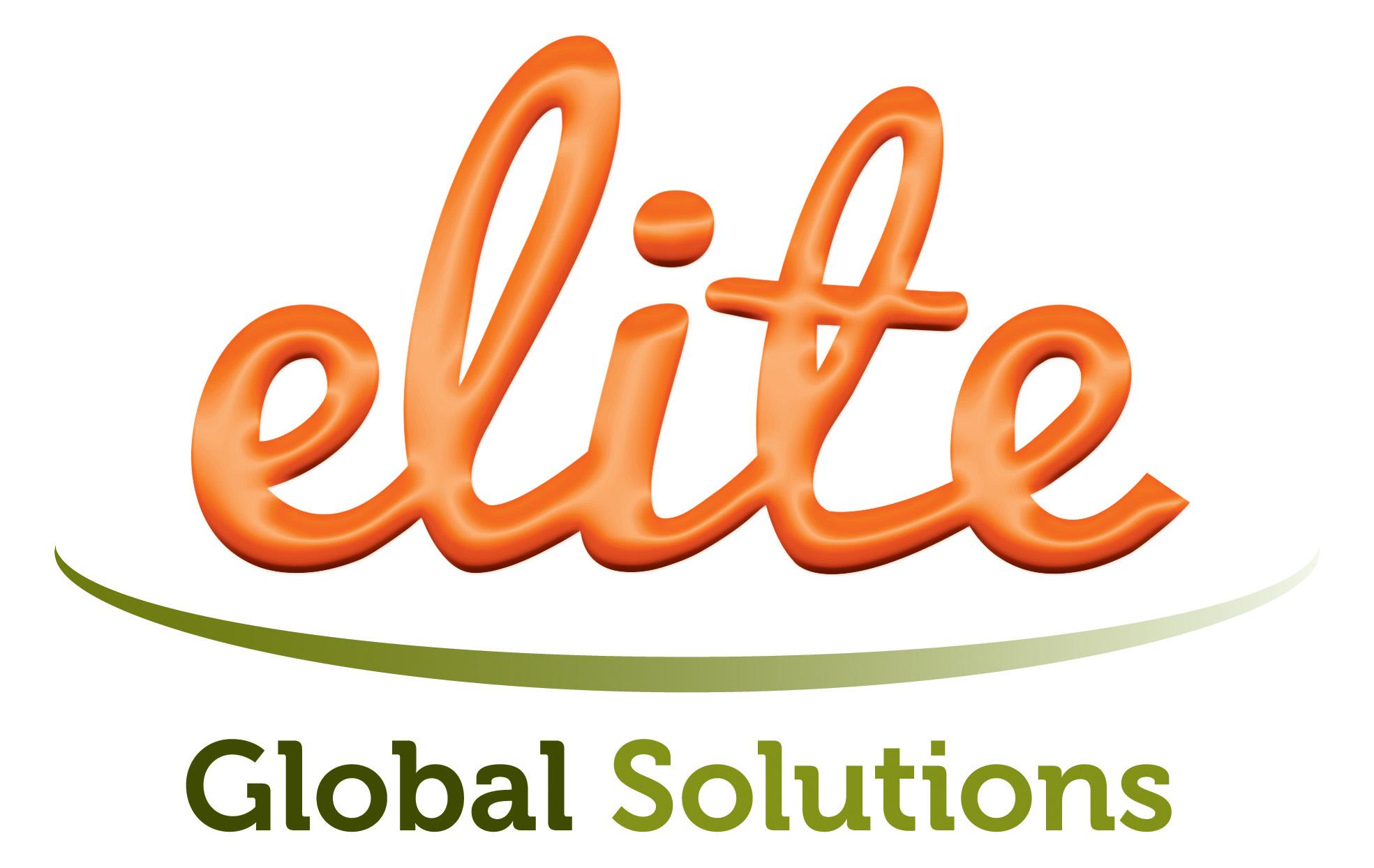 Elite Global Solutions Logo
