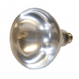 Globe Heat Lamp Bulb