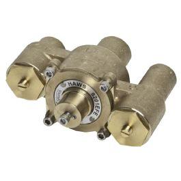T&S Brass Thermostatic Mixing Valve