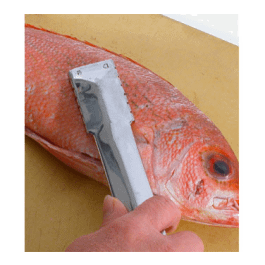 Town Equipment Manual Fish Scaler